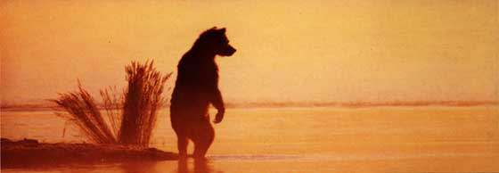 mistbear.jpg (7776 bytes)